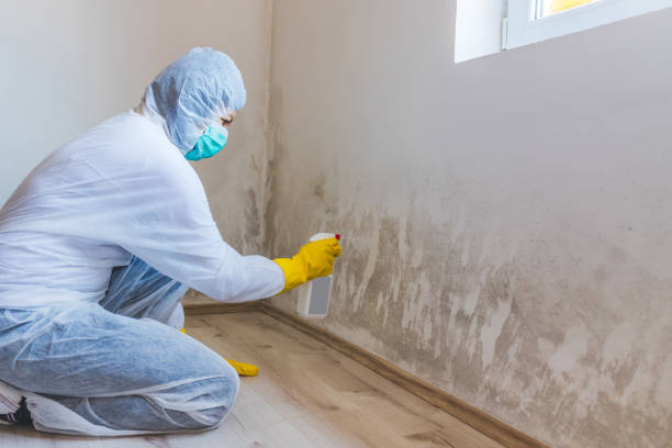 Crawl Space Mold Remediation treatment of floor joists in Toms River